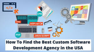 custom software development usa