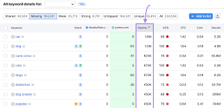 seo keyword search volume