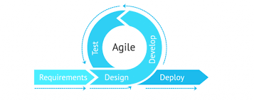 agile custom software development