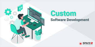 developing custom software