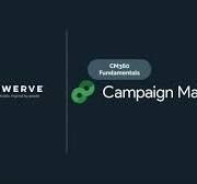campaign manager